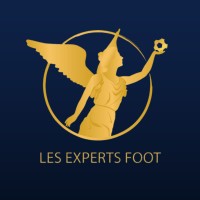 Les Experts Foot logo - Similar company to Le Studio Twinky