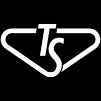 TECHSERVICES logo - Similar company to Dame!