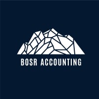 BOSR Accounting logo - Similar company to Contemporary Recruiting