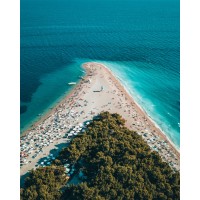 Test Zuddl Live logo - Similar company to Team One Solutions