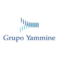 Grupo Yammine logo - Similar company to Mmc Automotriz, S.A