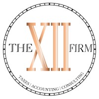 The Twelve Firm logo - Similar company to Measures4Success