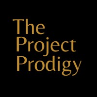 The Project Prodigy logo - Similar company to Bison Restoration Services