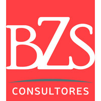 BZS Consultores logo - Similar company to Smartally.Io