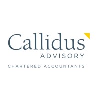 Callidus Advisory logo - Similar company to Fjg Partners