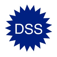 DSS Infra & Geotechno Services logo - Similar company to N D T Systems Private Limited