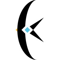 KiteVision - Protect your Network & Information System logo - Similar company to De-Coders Business Solutions Pvt Ltd