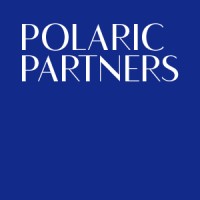 Polaric Partners GmbH logo - Similar company to Calvor