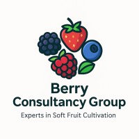 Berry Consultancy Group logo - Similar company to Converta Slitting Services