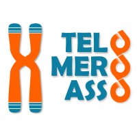 TELOMERO ASSO logo - Similar company to De Marez Immobilier