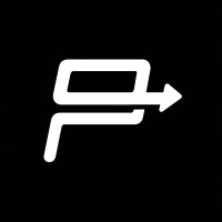 Digital Perfection LLC FZ logo - Similar company to Proximate Solutions