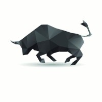 Toro Bravo Polska