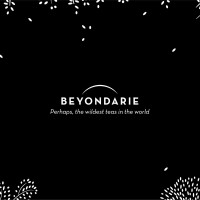 Beyondarie logo - Similar company to Planterie