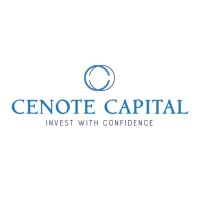 Cenote Capital logo - Similar company to Many Worlds