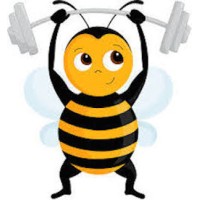 Beefit Gyms Franchising Ltd logo - Similar company to Solitaire International Llp