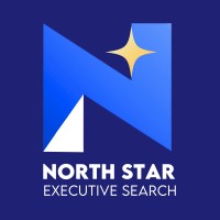 North Star Executive Search - a HR Interface Group Company logo - Similar company to Hr Interface Recruitment Consulting