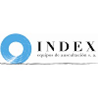 INDEX S.A. logo - Similar company to 󠁮󠁯