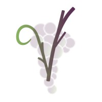 Veraison Leadership Group logo - Similar company to Capture Humanity