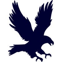 Brave Ready logo - Similar company to Wounded Warriors In Action Foundation, Inc