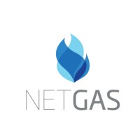NetGás logo - Similar company to Speed Lab Egypt