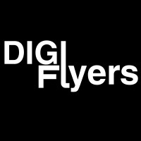 THE DIGIFLYER logo - Similar company to Dmh