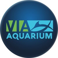 VIA Aquarium logo - Similar company to Buffalogo Co.