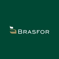 Grupo Brasfor logo - Similar company to Grupo Rdf