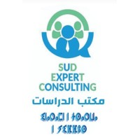 sud expert consulting1 logo - Similar company to Progress Partners