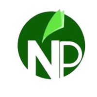 Noun Partners Consulting logo - Similar company to Proactifs Conseils Gestion De Patrimoine