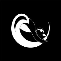 Winchester City Penguins Swimming Club