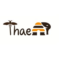 Thaen logo - Similar company to Thaen