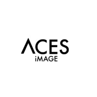 ACES iMAGE logo - Similar company to Rocpro3D