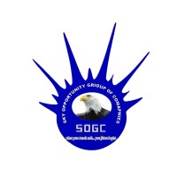 sky opportunity group of companies logo - Similar company to Ace Consult