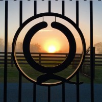 Quincey Cattle Company logo - Similar company to Shredding Hunger