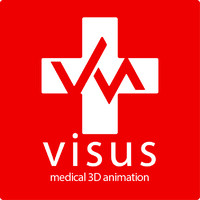 Visus Animation logo - Similar company to Snap Animation Llc
