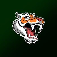 Fynn Cats logo - Similar company to Pull Productions