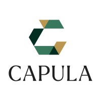 Capula Investment Management LLP logo - Similar company to Marshall Wace