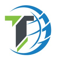 T World InfoTech logo - Similar company to Websaye India Ltd