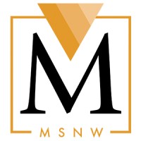 MSNW Group, LLC logo - Similar company to Security Solutions Northwest Llc