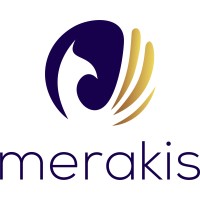 Merakis Group logo - Similar company to Br!Ng