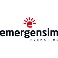 EMERGENSIM logo - Similar company to Sesame Simulation
