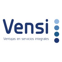 Vensi logo - Similar company to Vensi