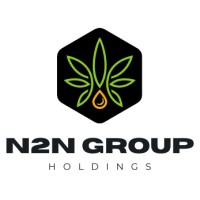 N2N Group Holdings, LLC logo - Similar company to Intelligrow, Llc