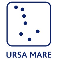 Ursa mare