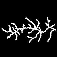 Babyn Yar Holocaust Memorial Center (BYHMC) logo - Similar company to Ino. The Developer