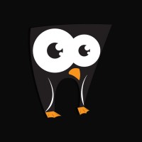 Black Pingo Hosting & Web Solutions logo - Similar company to Duke Hosting