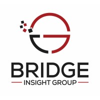 Bridge Insight Group, Inc.