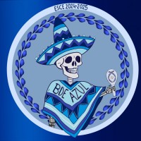 BDE Azul - ESCE logo - Similar company to Esce Business School Alumni