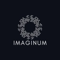 Imaginum logo - Similar company to Vip Course