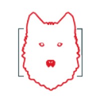 Andrea Web Designer logo - Similar company to Difnet Srls